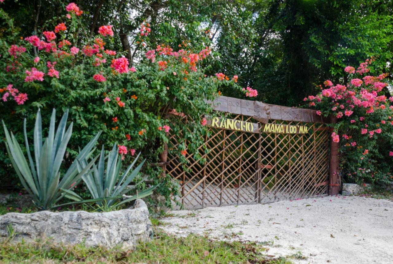 Rotamundos Mama Loomm Hotel Playa del Carmen Kültér fotó