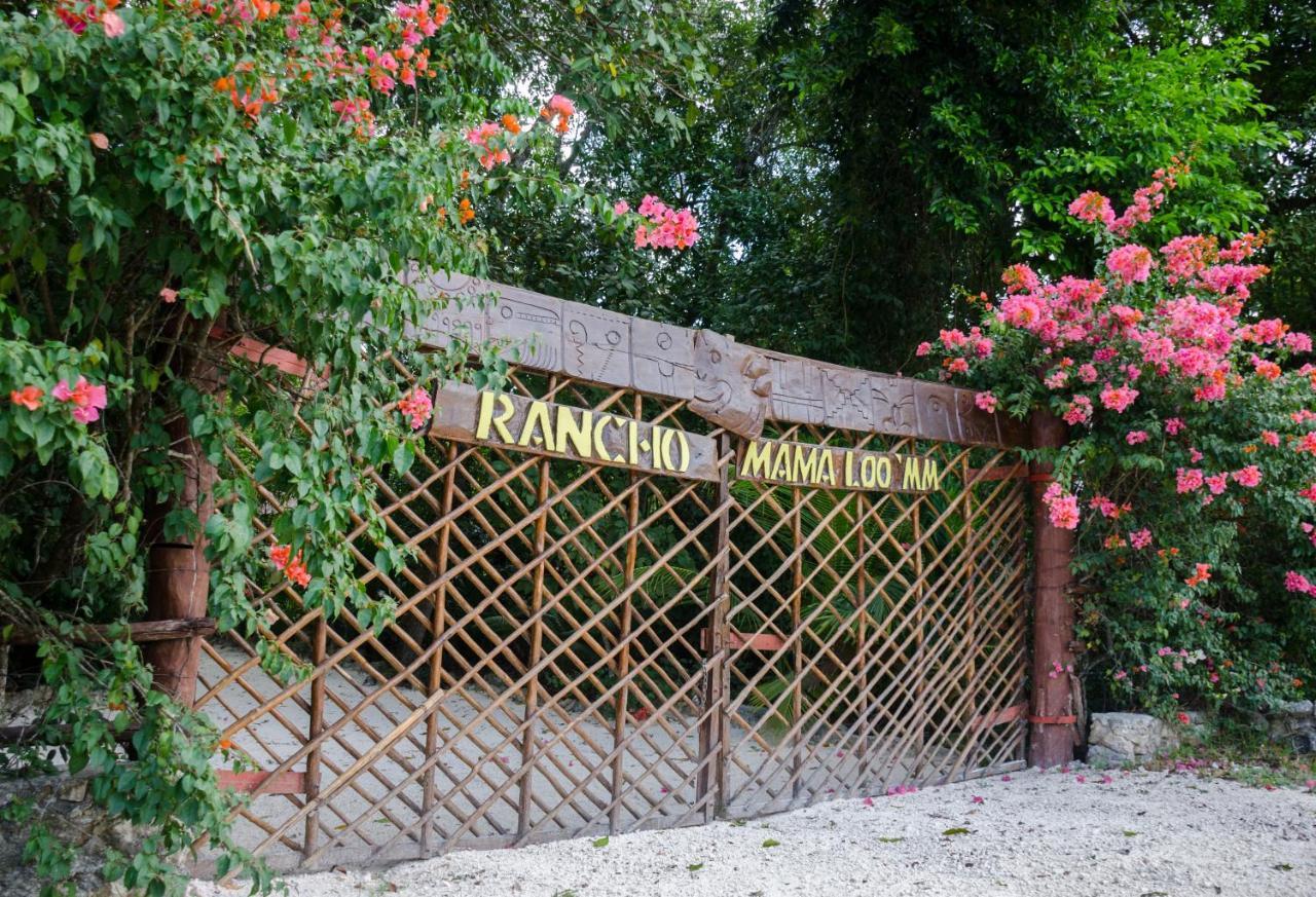 Rotamundos Mama Loomm Hotel Playa del Carmen Kültér fotó