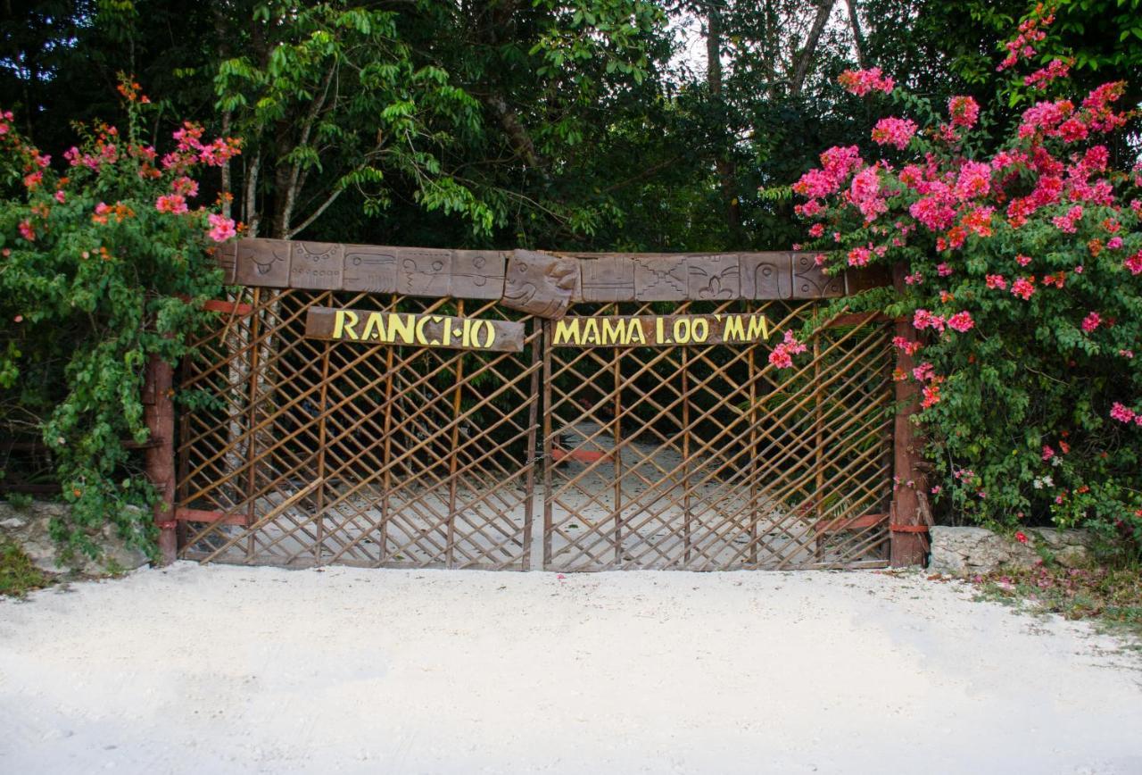 Rotamundos Mama Loomm Hotel Playa del Carmen Kültér fotó